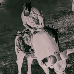 Meet your Posher, Roger